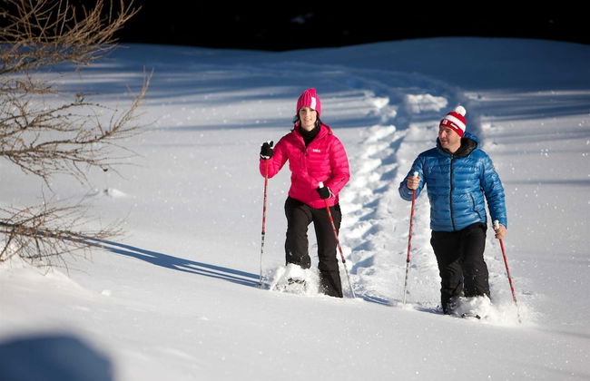 Apartment in Rennweg Near Katschberg Ski Area - Foto 17