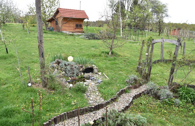 Studio Silvia - Foto 12