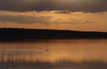 Domek w Borach Tucholskich - Wycinki - Foto 39