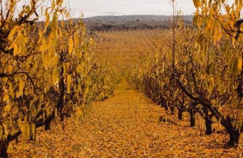 Holiday Home Fraga with Private Pool - Foto 37