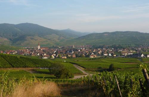 Gîte Sonnenberg - Foto 14