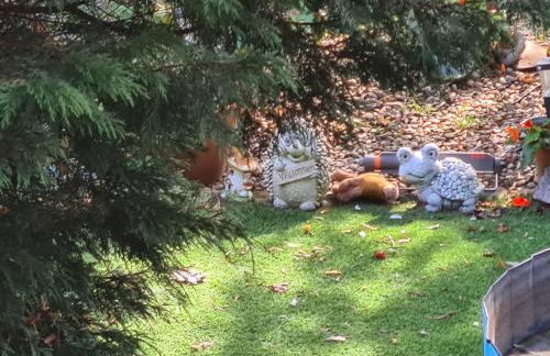 Ferienwohnung Fellnasen WG 2 - Foto 30