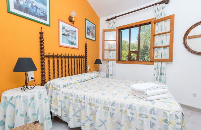 Hibiscus in Sa Pobla - Foto 18