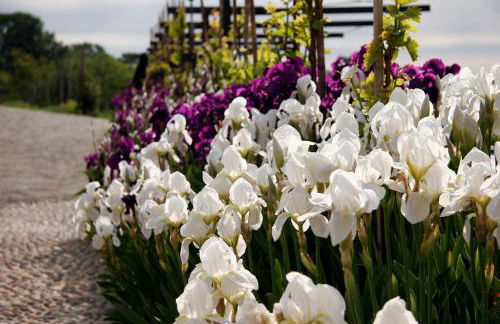 Residenza la beccata - Photo 6