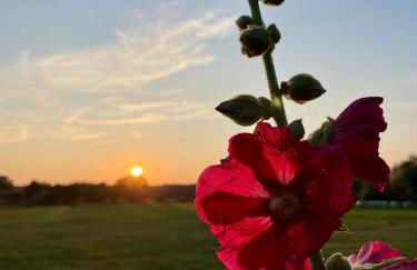 Reetdachhaus in Seenähe, Ruhige Lage, Kamin & Terrasse - Foto 34