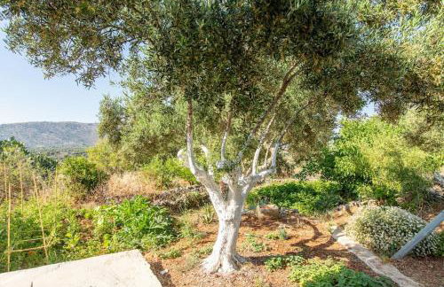 Villa Niovi - Photo 37