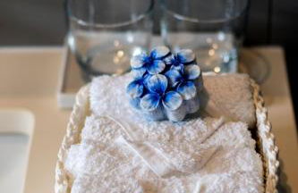 Quinta do Jasmim - Photo 26