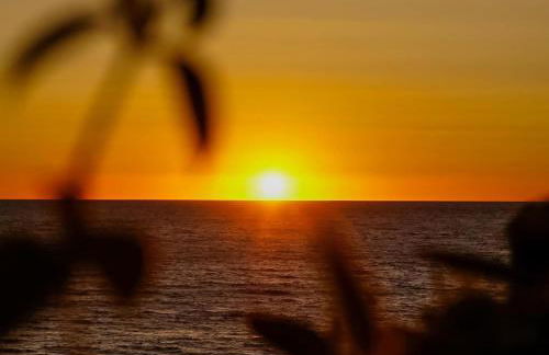 K-FOFO Apartment - Steps from Anzio Station, Beach & Town Center - Photo 27