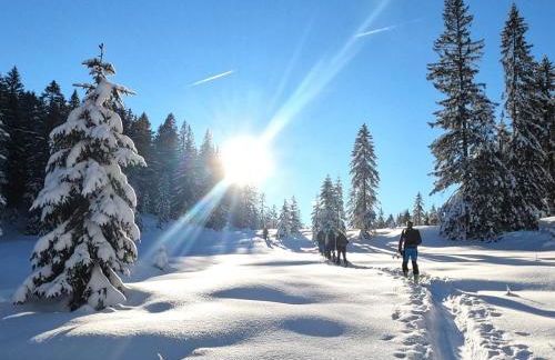Ferienwohnungen im Färberhaus - Foto 40