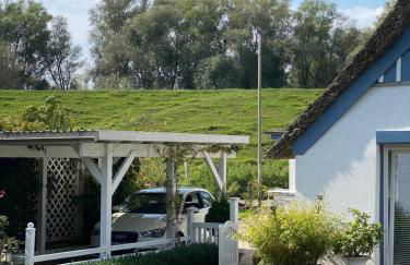 Erholung am Deich - Foto 29