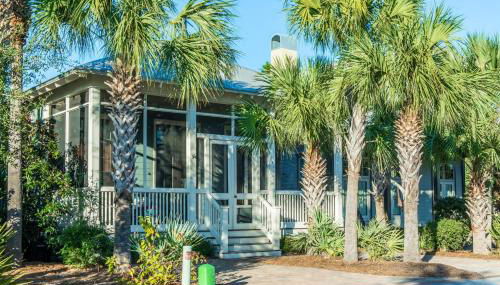 Surfin' Turtle - Foto 1