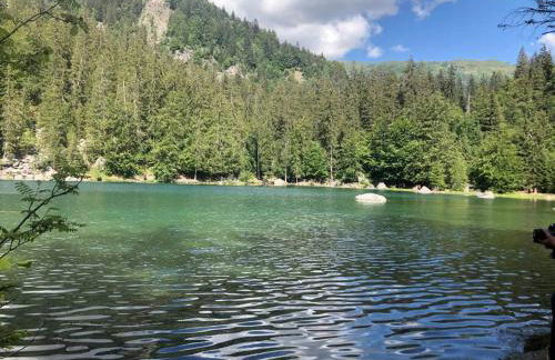 Appartement au pays du Mont-Blanc - Foto 18