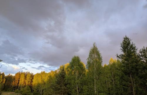 Forreset esencja natury - apartament z opcją sauny i balii - Photo 66