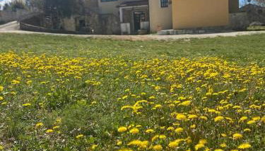 Villa Ignoto - Foto 3