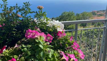 La Casa Dei Nonni - Foto 3, Garden, Garden view