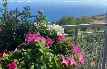 La Casa Dei Nonni - Foto 3