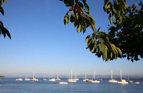 Ferienwohnungen Der Loewen - Foto 18