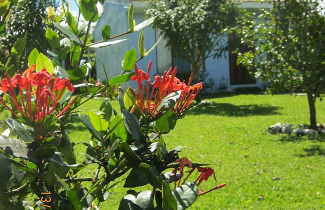 Apartamento Completo a 2 Minutos Ruta 32 - Foto 9