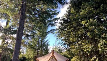 Secluded Safari Tent Perfect for a Glamping Getaway near Blue Lake, California - Foto 4