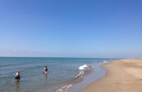 Casa Eucaliptus - Foto 50