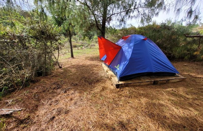 Glamping Paraiso de Tausa - Photo 47