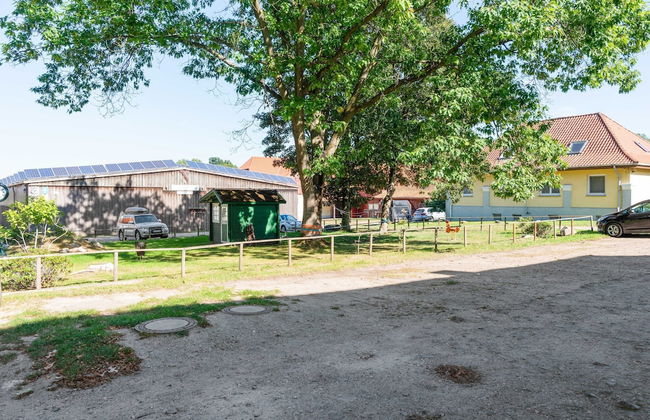 Ferienhaus in Eschede - Photo 57