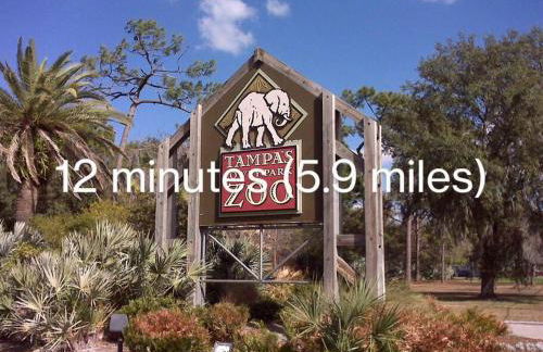 Villa White Rock in Tampa - Photo 68