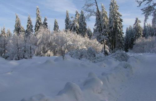 Schneckenhütte - Foto 45