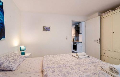 Blauer Seestern - Foto 19