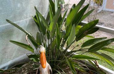 Swimming, Boating, Fishing on Gulf & Heated pool - Foto 46