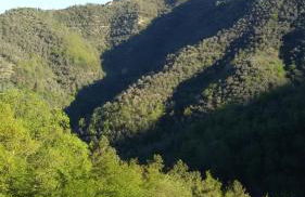 Nostro Rifugio - Foto 63