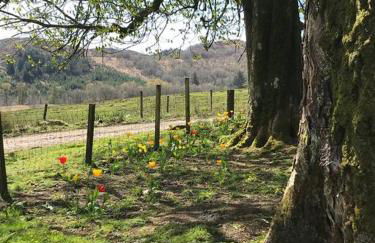 Spacious lodge with king sized bed - Foto 12