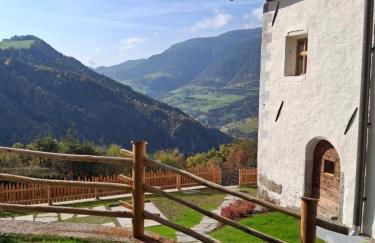 OBERBUCHFELDER historic farmhouse - Photo 56