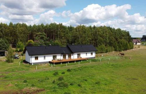 Agroturystyka Dom Skowronek - Foto 26