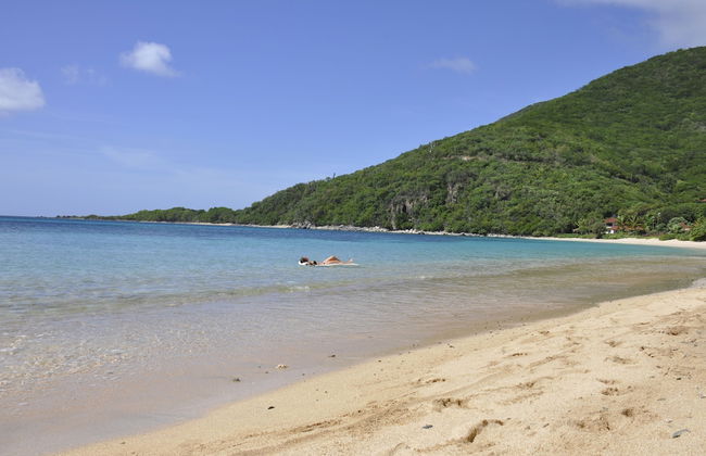 Mango Bay Resort - Foto 26