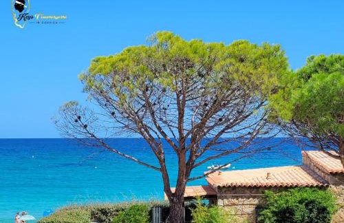 Beau T3 dernier étage Calme Vue Mer Plage à pied 6 pers Favone - Photo 43