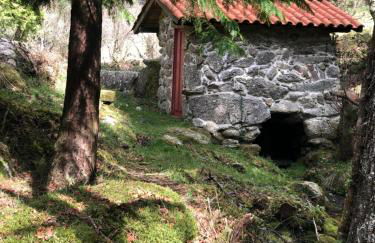 Casa da Fonte, Monte - Foto 38