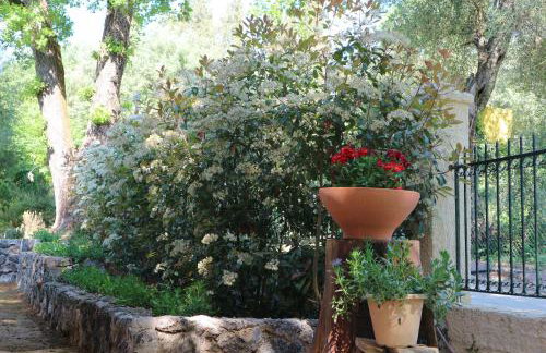 Villa Magia - Photo 30