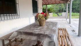 Casa com Igarapé - Foto 5