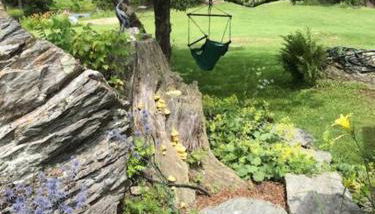 The Hunter Cabin at Sky Hollow - Foto 2