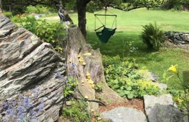 The Hunter Cabin at Sky Hollow - Foto 2