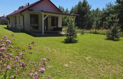 Domki Letniskowe Między Jeziorami w Lipnicy - Foto 2