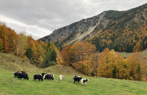 Bett & Berge - Ferienapartment in den Schlierseer Bergen - Foto 12