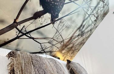 CBlue: Seeblick, Kamin, Wallbox, Natur - Foto 34