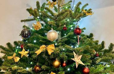 Orchard Lodge-Coastal Retreat, newly built hideaway with village views and private terrace - Foto 4