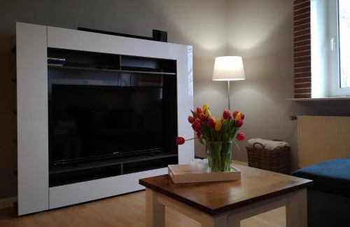 Liebevoll hinterm Deich - Ferienwohnungen - Foto 38