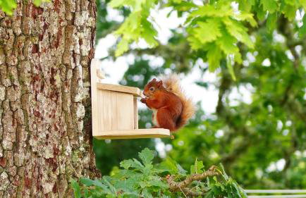 Blarghour Farm Cottages - Foto 18