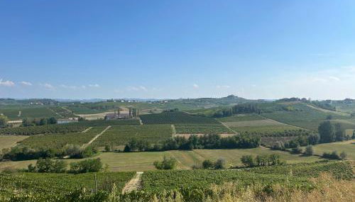 Al Boschetto - Foto 4