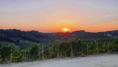 Cà Du Ruja - Foto 2