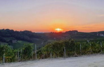 Cà Du Ruja - Foto 2